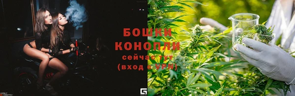 гидра Бронницы