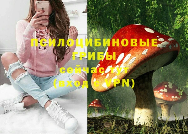 сатива Бугульма