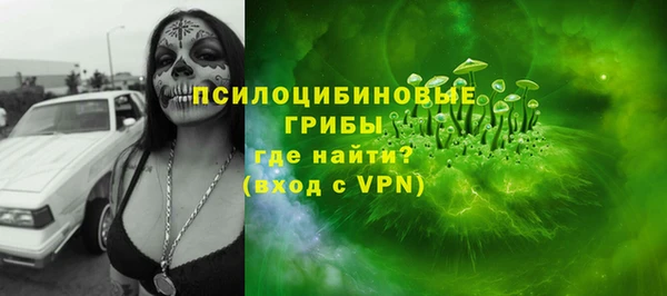 сатива Бугульма