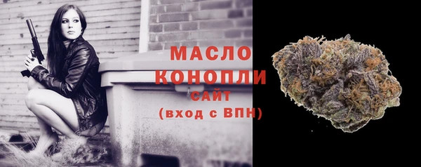 стаф Верея