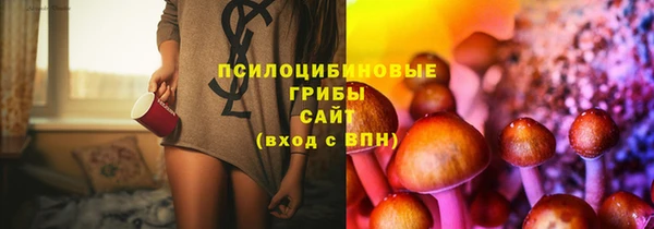 стаф Верея