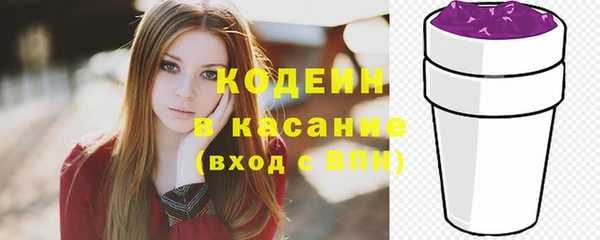 spice Богданович