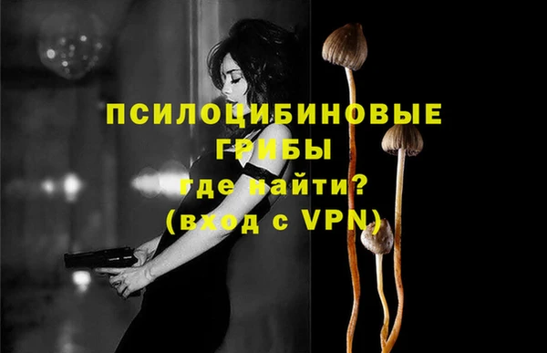 прущая мука Верхний Тагил