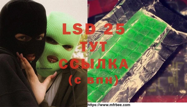 гидра Бронницы
