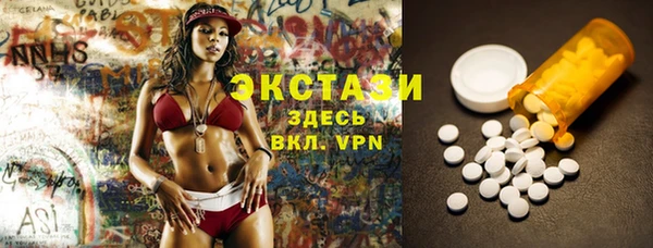 стаф Верея