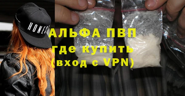 гидра Бронницы