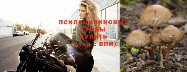 сатива Бугульма
