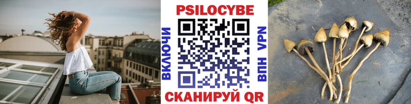 Псилоцибиновые грибы мухоморы  маркетплейс Telegram  Емва  KRAKEN ссылки 